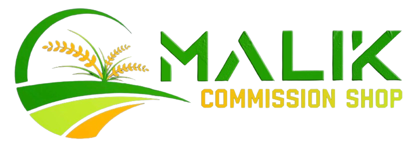 logo icon